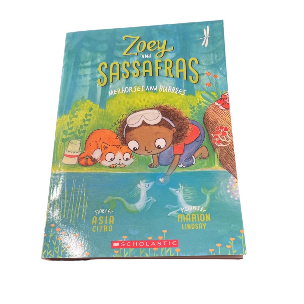 📖Scholastic📖 Zeitlin and Sassafras Merhorses and Bubbles